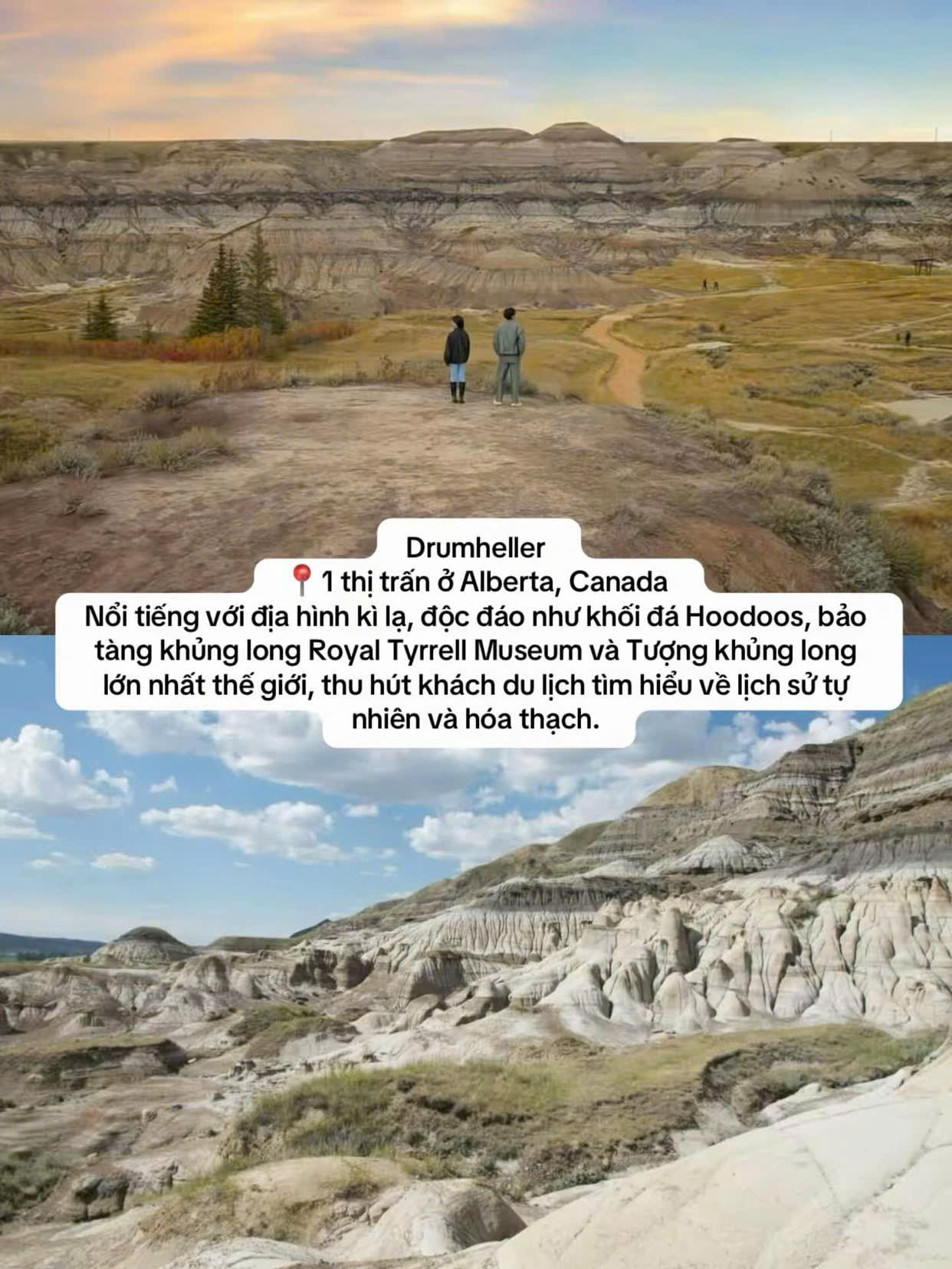 tieng yeu nay anh dich duoc khong 8.jpg